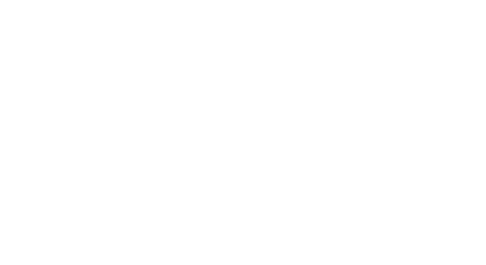 Grupo Danish Logo